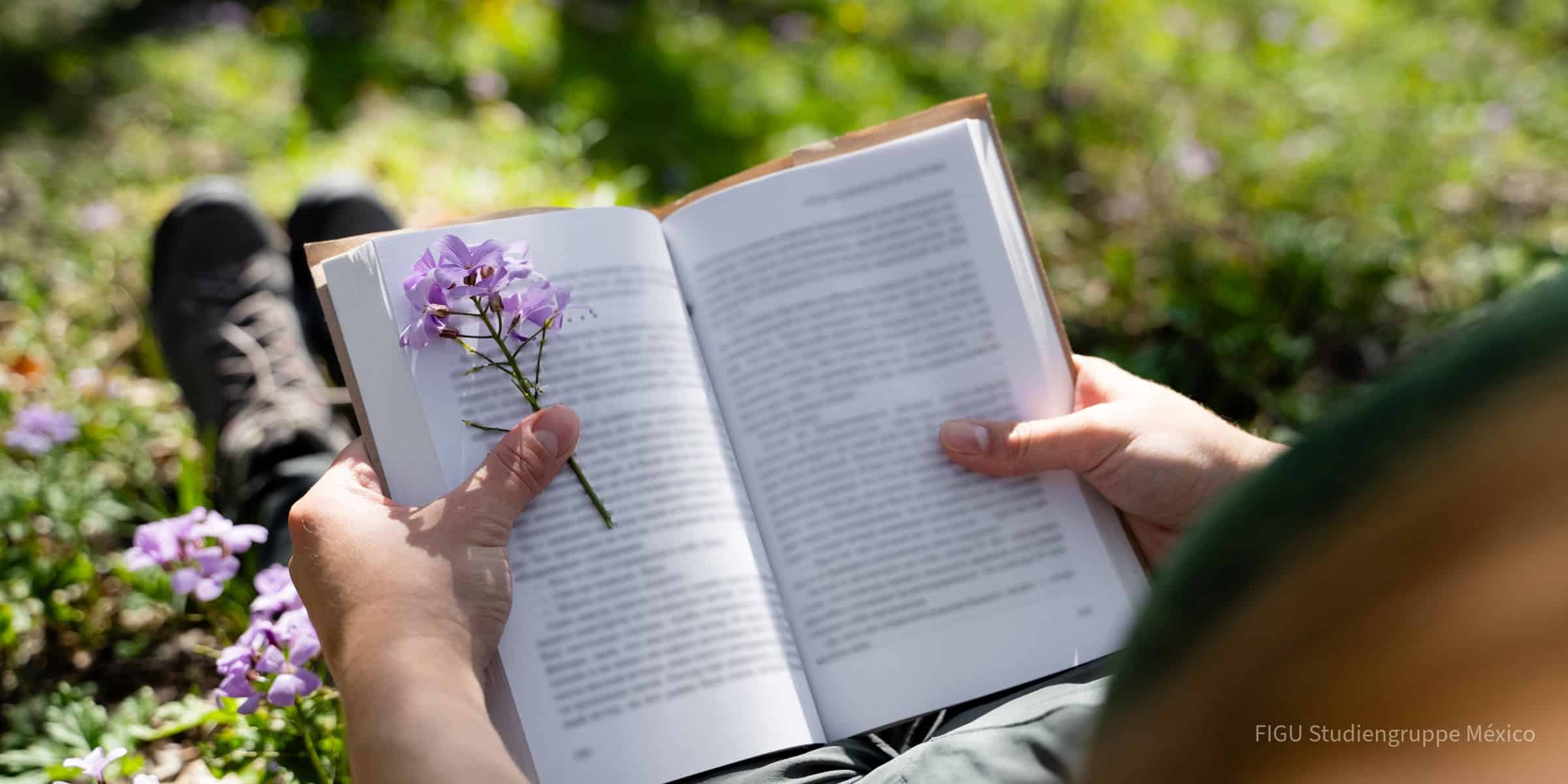 Manos sosteniendo un libro con un separador de flores en un bosque.