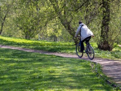 Ciclista visto de espaldas en un parque verde y soleado.