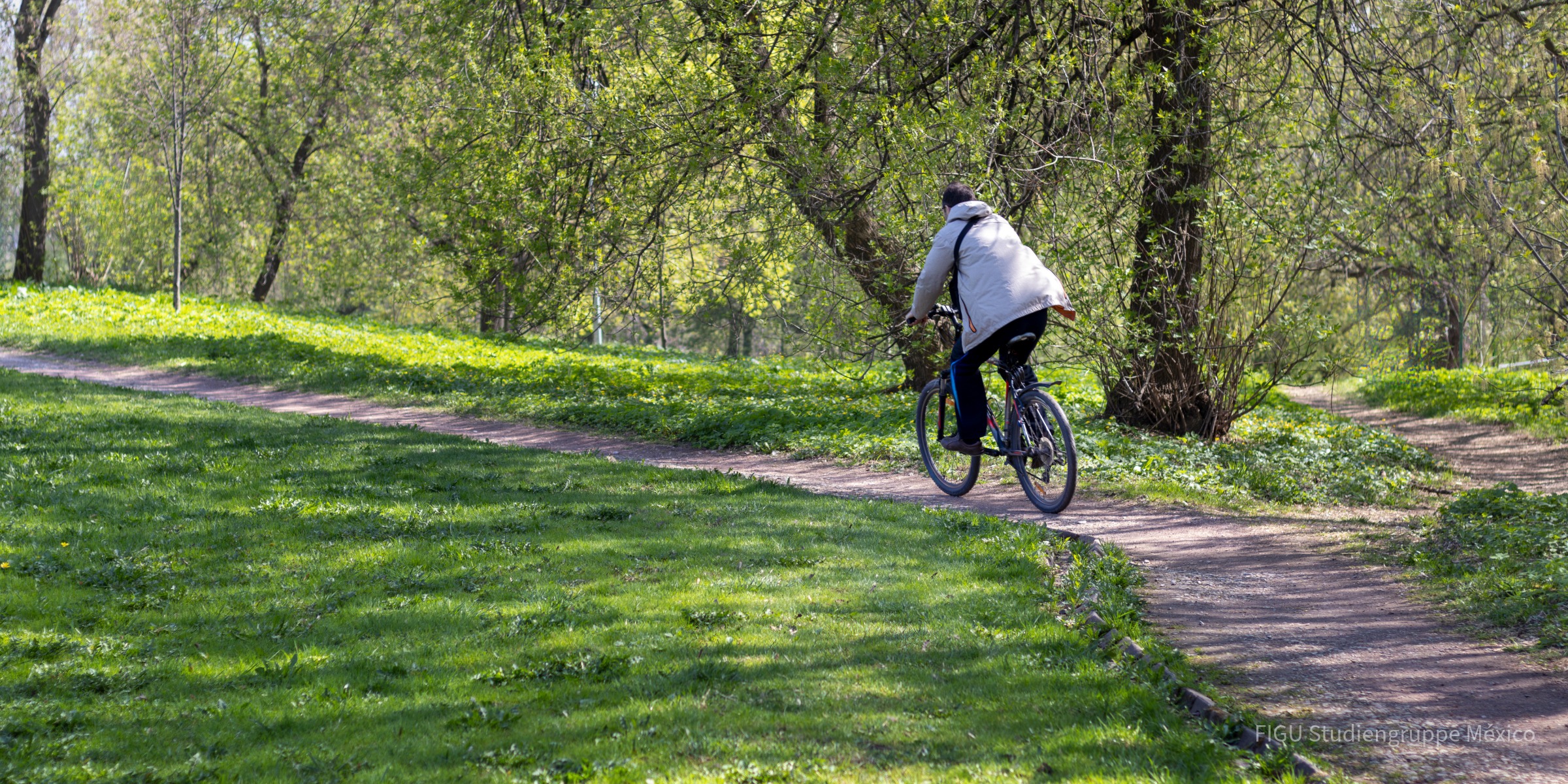 Ciclista visto de espaldas en un parque verde y soleado.