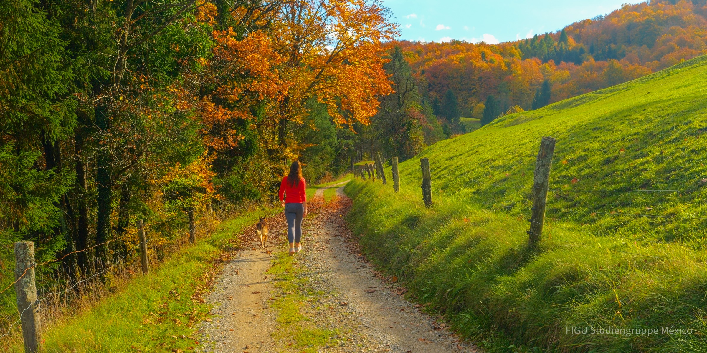 Una persona y su perro caminan por un sendero rural entre árboles.