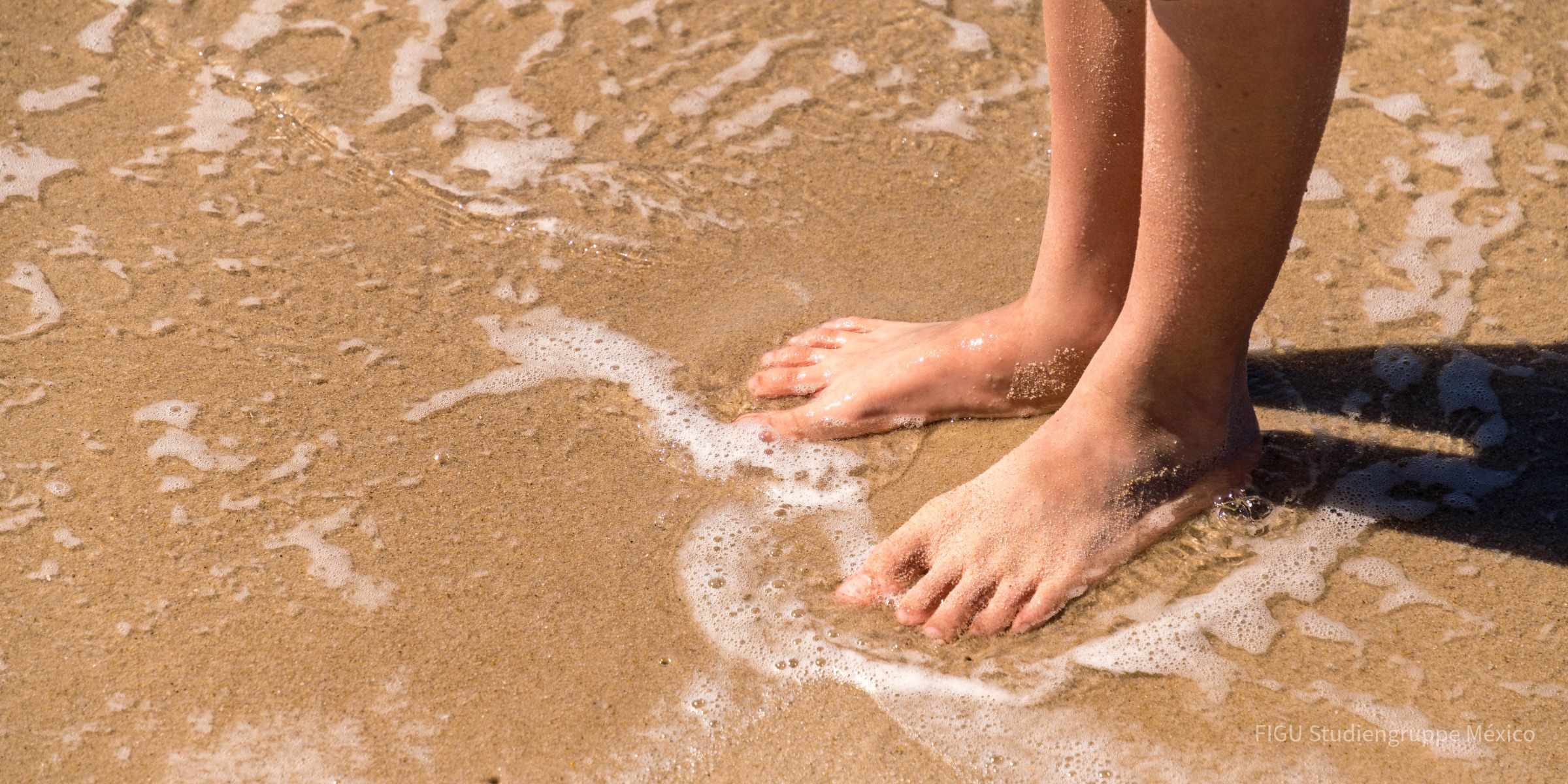 Pies descalzos en el agua junto a una playa de arena.