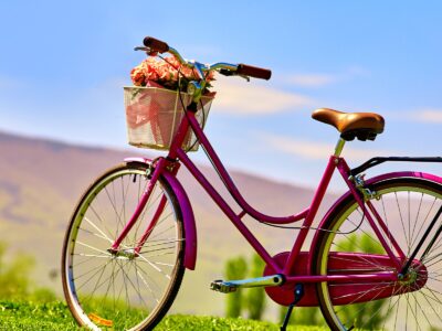 Bicicleta con flores en la canasta sobre césped bajo un cielo azul.