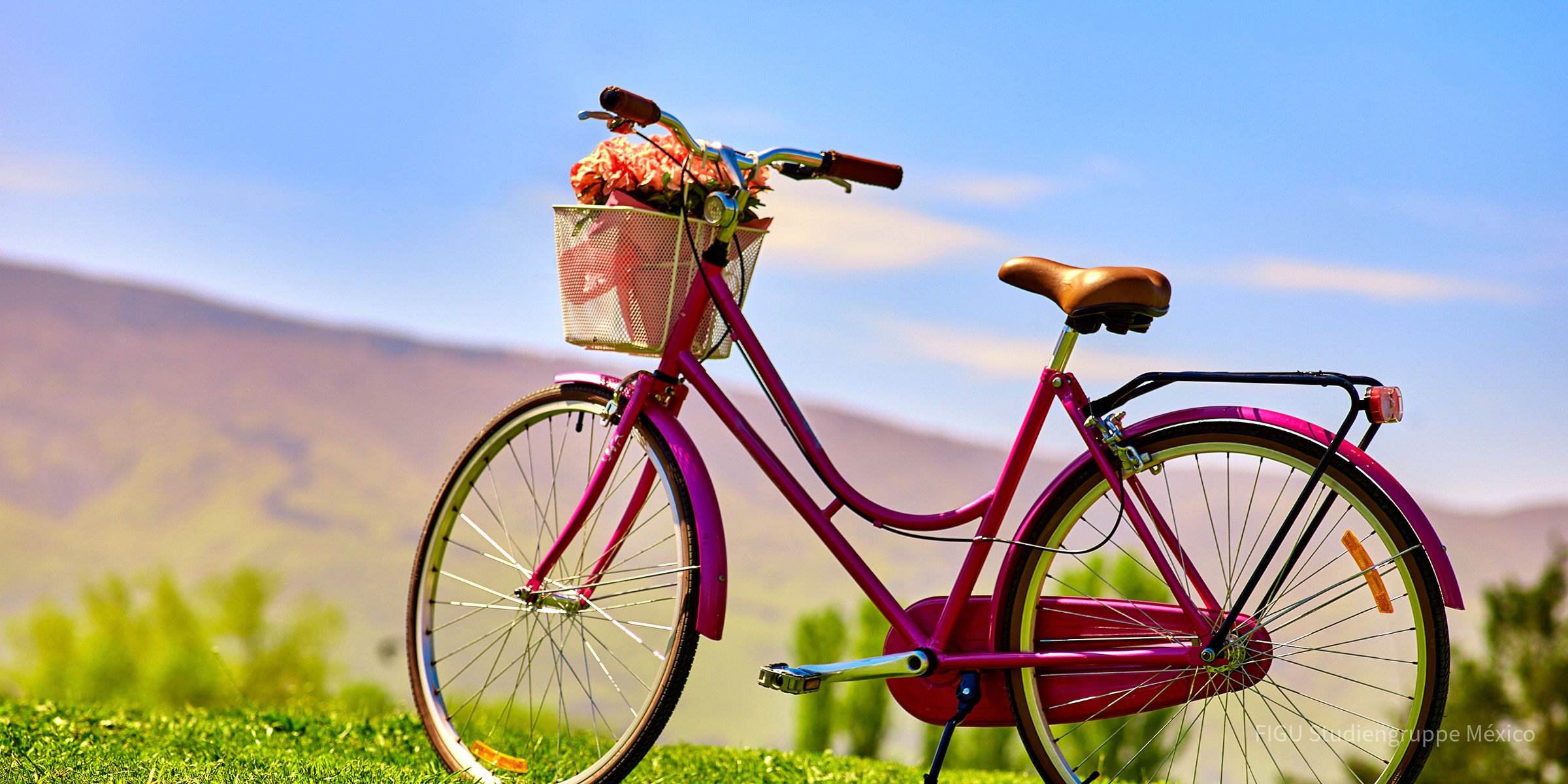 Bicicleta con flores en la canasta sobre césped bajo un cielo azul.