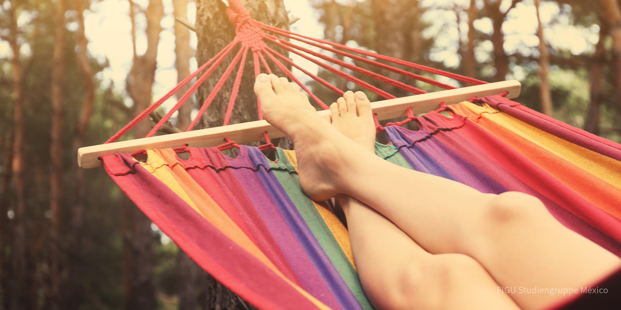 Persona descansando en una hamaca al aire libre.