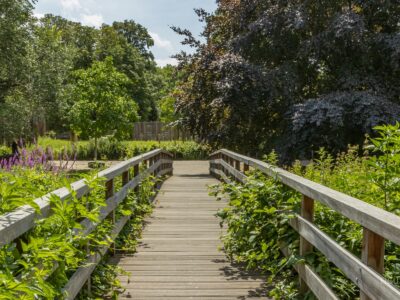 Puente peatonal de madera sobre un arroyo entre árboles y vegetación.