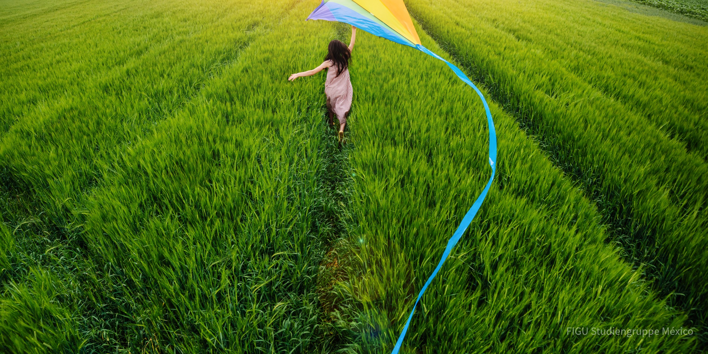 Niña corriendo con un papalote de colores en un campo de trigo verde.
