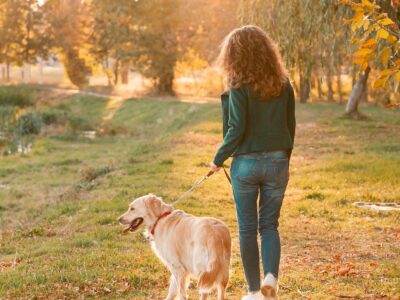 Una persona y un perro golden retriever caminan de espaldas al aire libre.